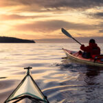 60 seconds with NCS SA – NCS VE Infusion